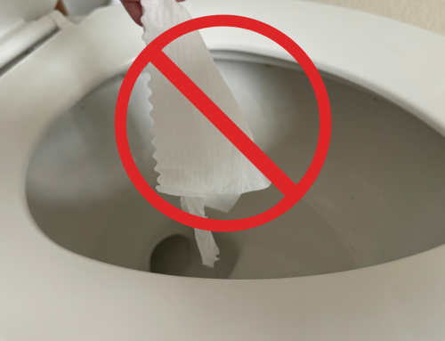 The Ultimate Septic System “No-Fly Zone”: What Not to Flush Down the Toilet Ever