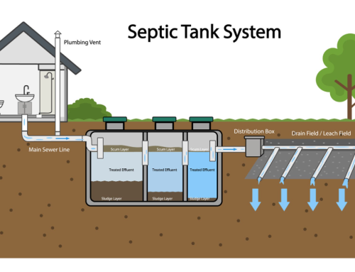 Septic System Basics: How It Works, Maintenance, & Troubleshooting